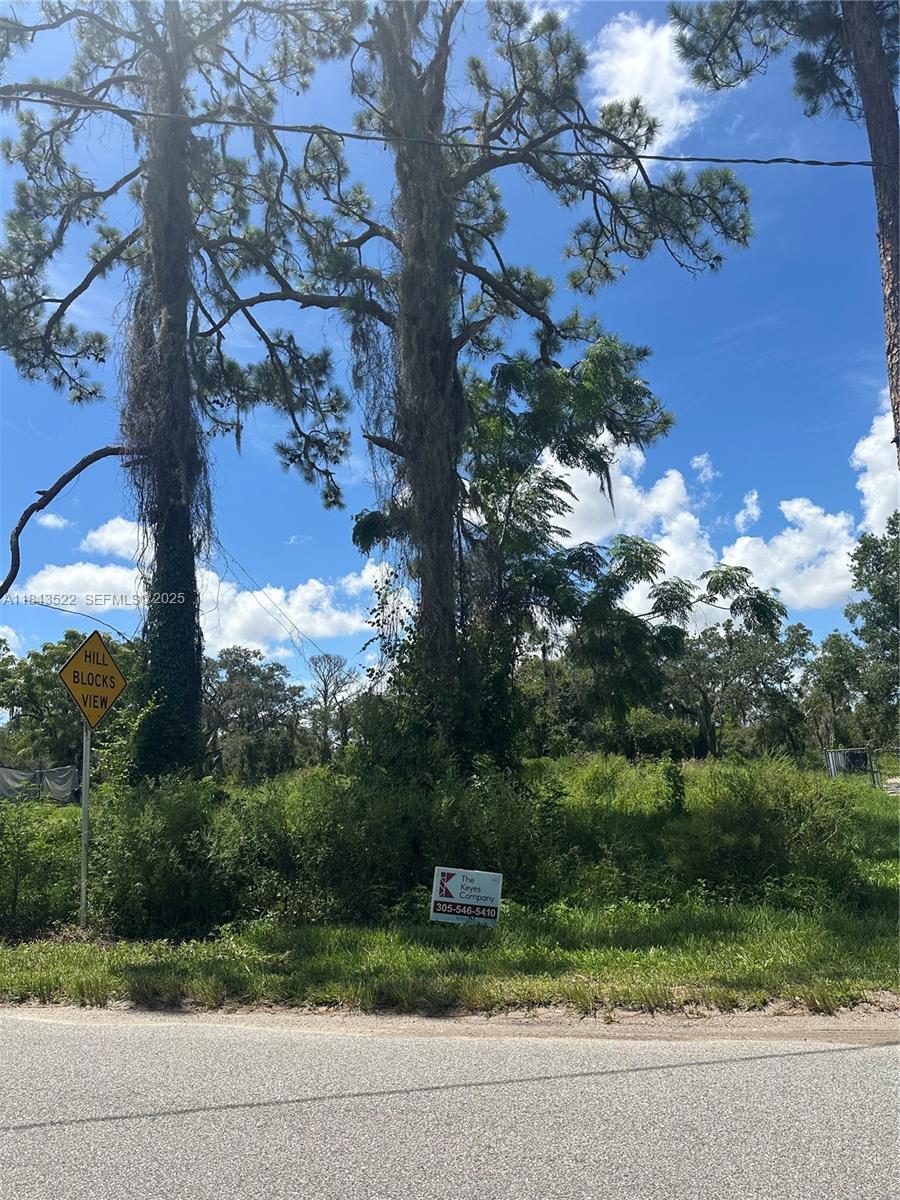 257 Moon Glow, FL 33852, Lake Placid