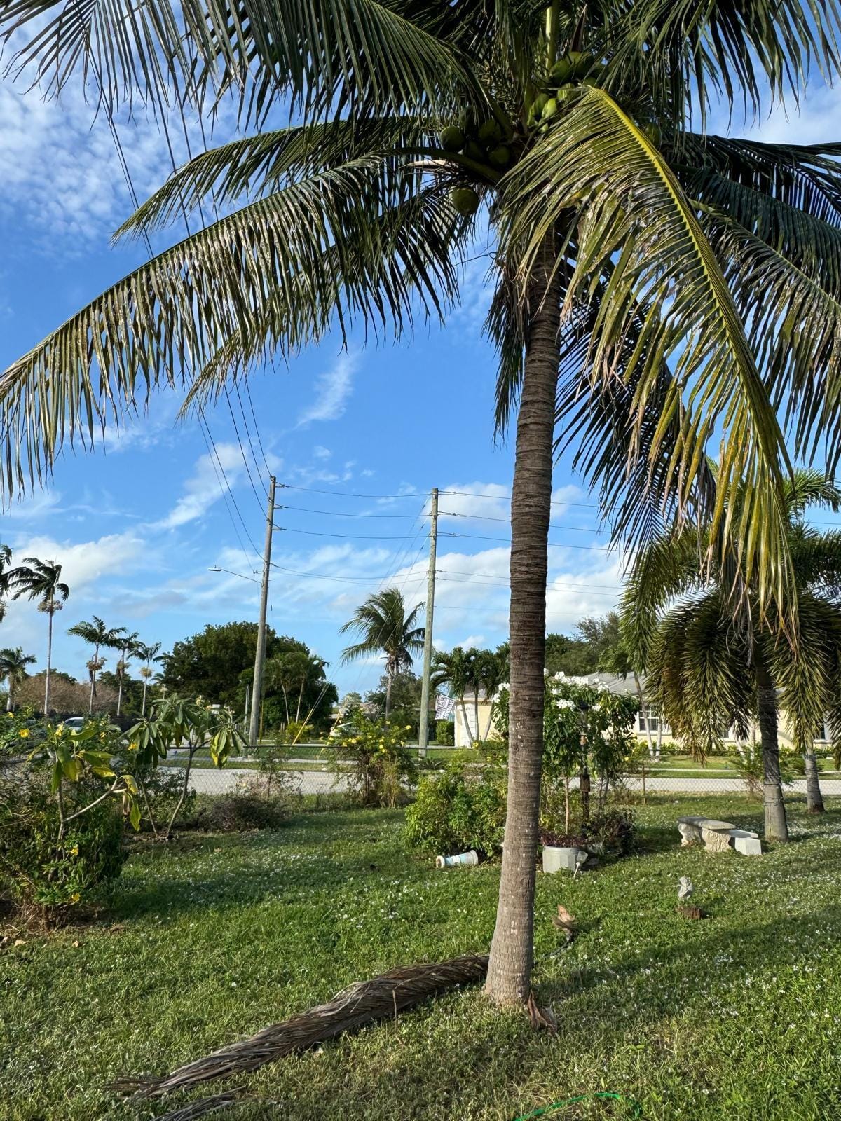 701 SW 8th Avenue, Delray Beach, FL 33444 photo 28