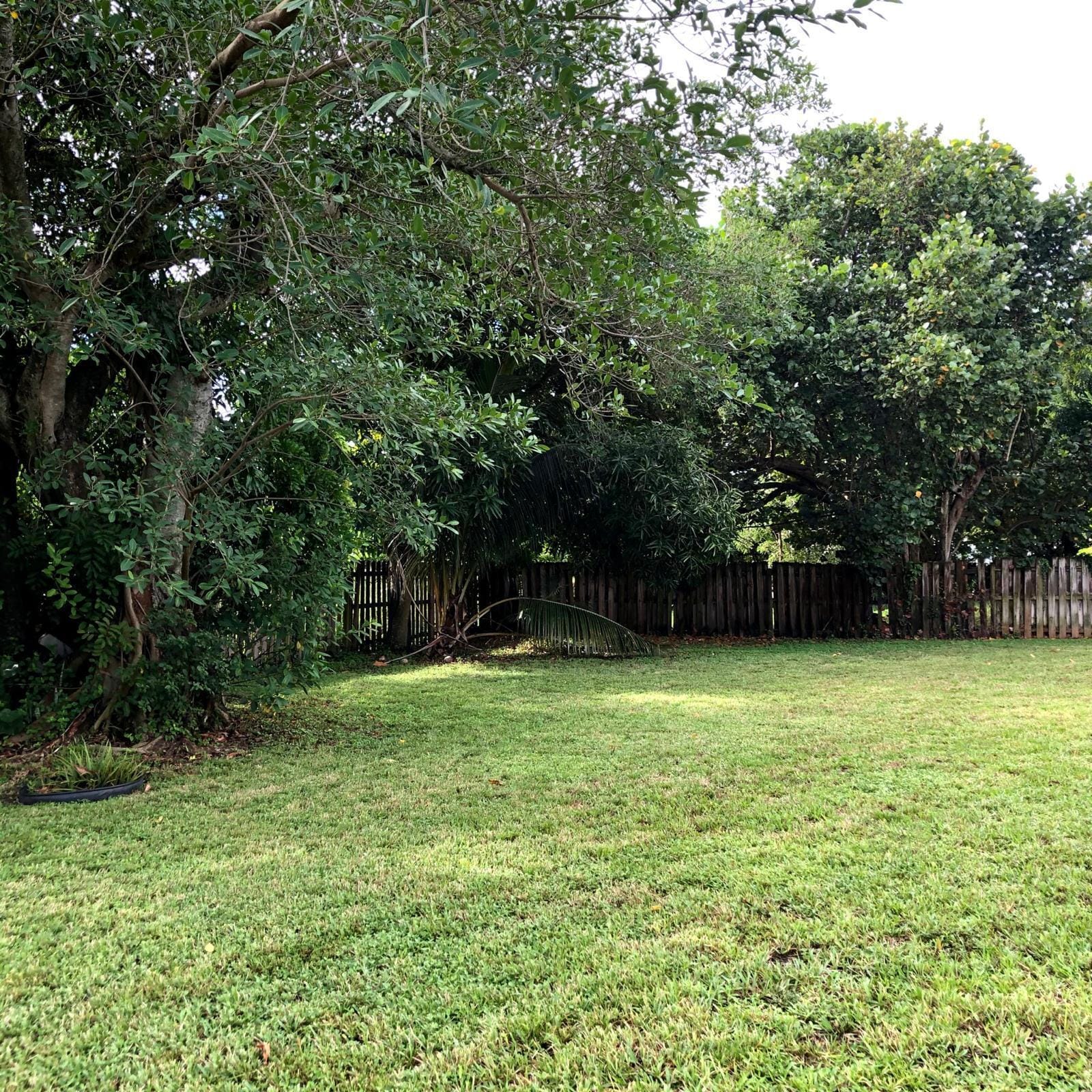 701 SW 8th Avenue, Delray Beach, FL 33444 photo 29