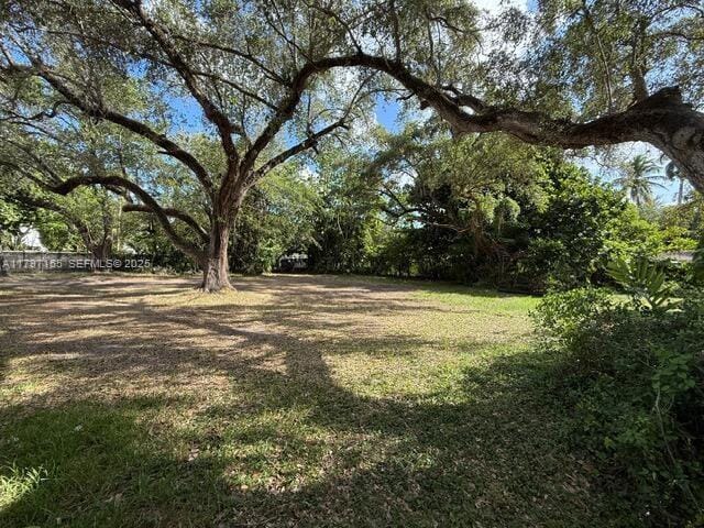 3850 Plaza Street, Miami, FL 33133 photo 5