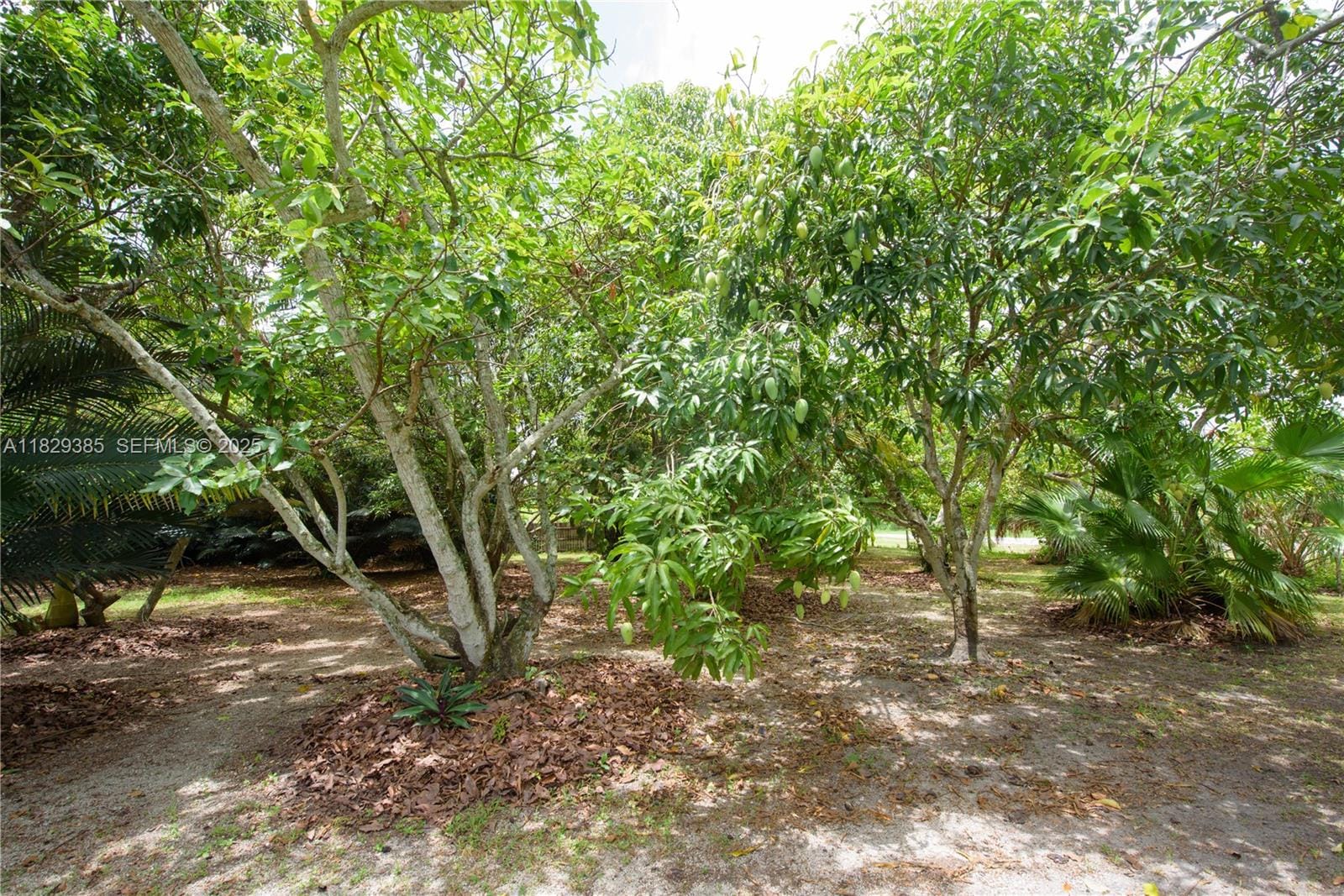 20350 SW 182nd Avenue, Miami, FL 33187 photo 22