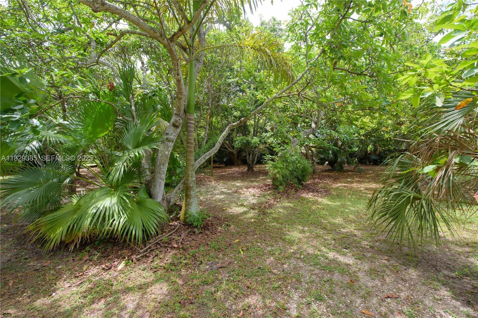 20350 SW 182nd Avenue, Miami, FL 33187 photo 23