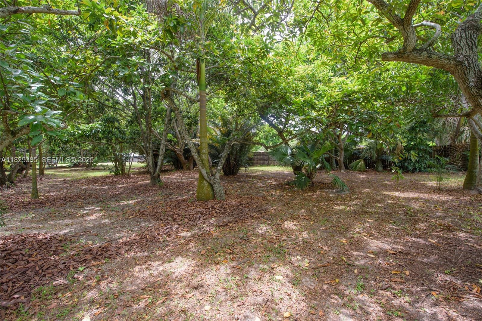 20350 SW 182nd Avenue, Miami, FL 33187 photo 24