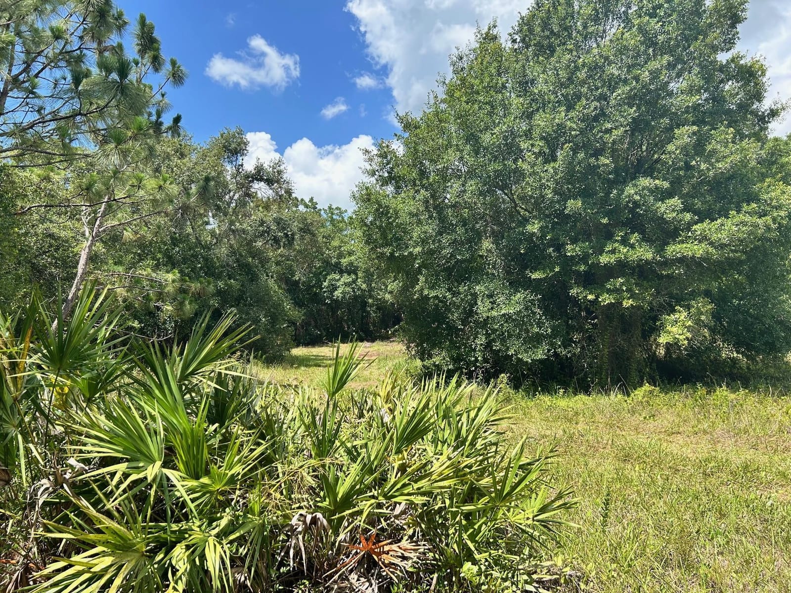 690 NE 144th Drive, Okeechobee, FL 34972 photo 4