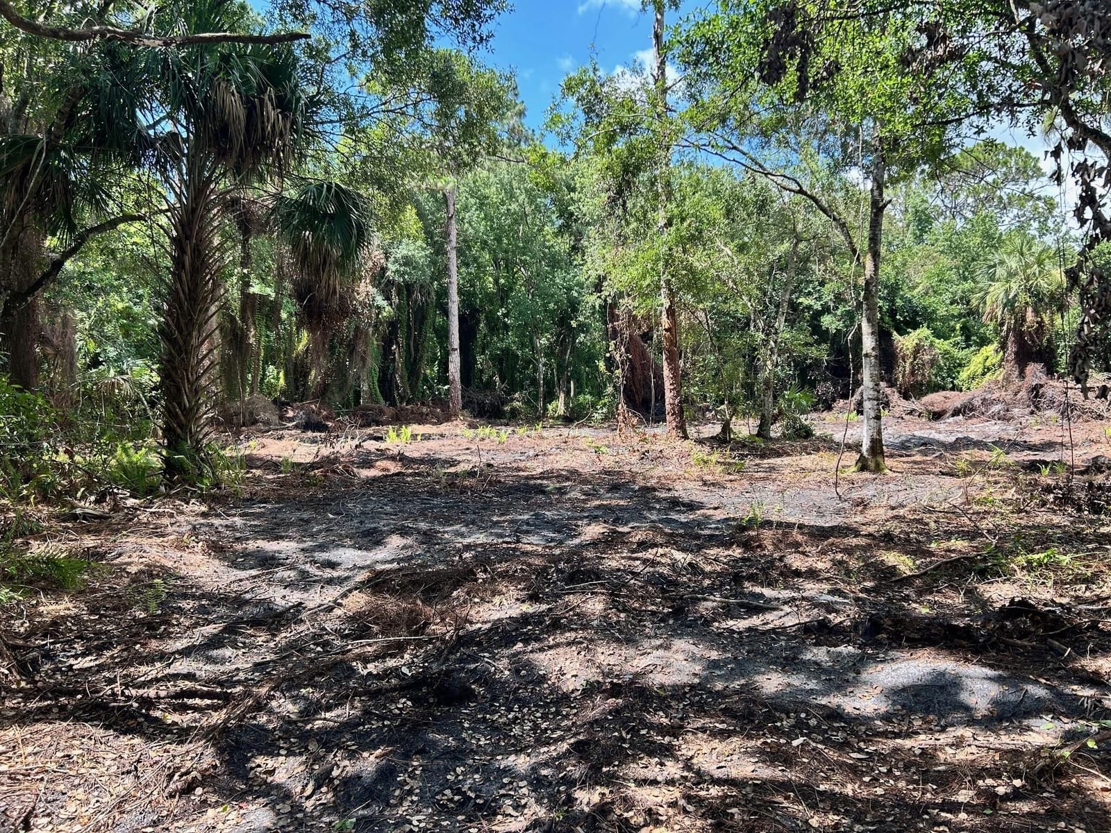 690 NE 144th Drive, Okeechobee, FL 34972 photo 6
