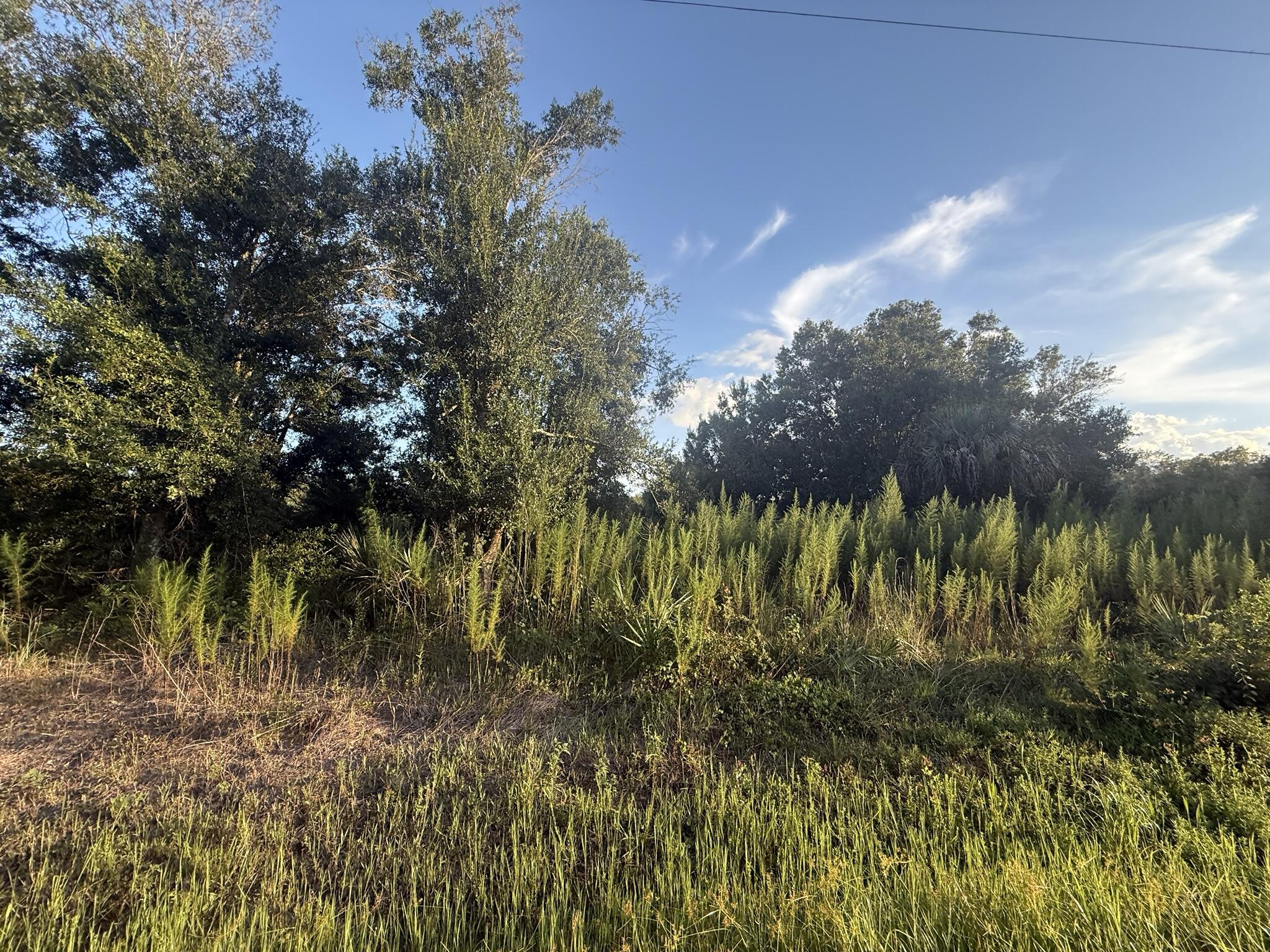 19426 NW 270th Street, Okeechobee, FL 34972, Okeechobee