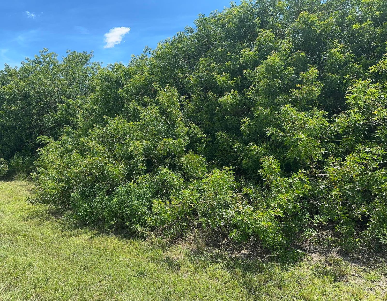 0 SW Village Sw Parkway SW, Port St. Lucie, FL 34987
