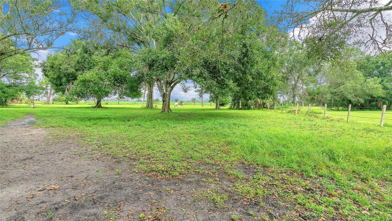 17505 Okeechobee Road, Fort Pierce, FL 34945 photo 19