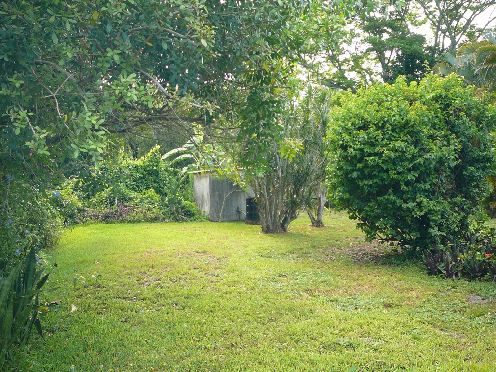 2101 S 33rd Street, Fort Pierce, FL 34947 photo 28