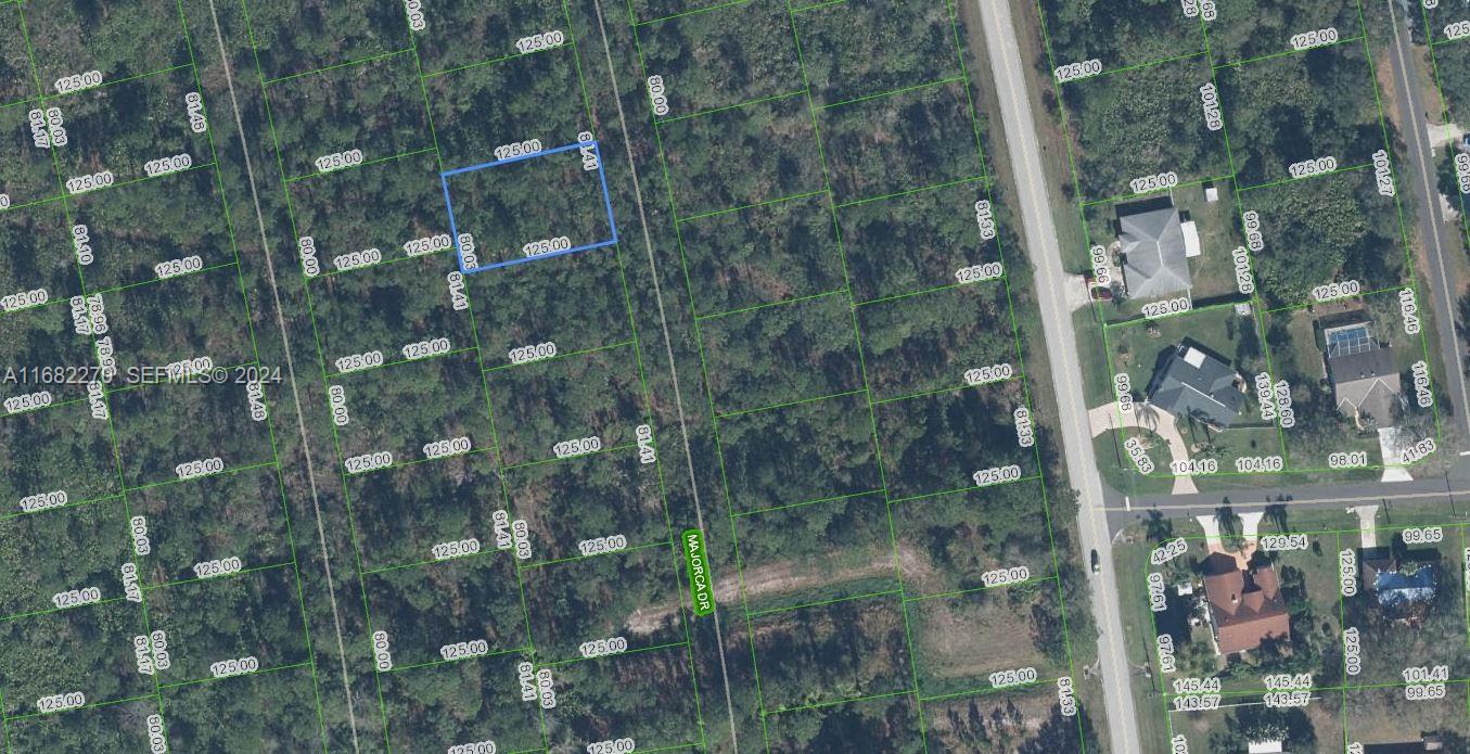 4425 Majorca Drive, Sebring, FL 33872, Sebring