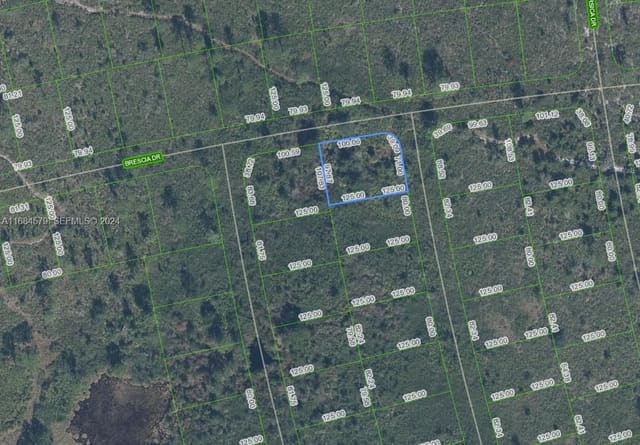 4739 Obispo Avenue, Sebring, FL 33872