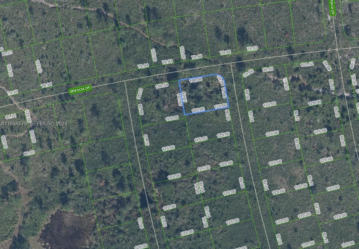 4739 Obispo Avenue, Sebring, FL 33872, Sebring