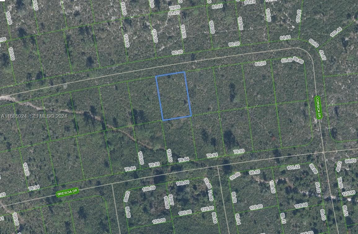 5032 Corsica Drive, Sebring, FL 33872, Sebring