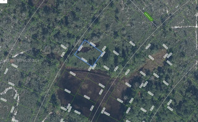 6625 San Benito Drive, Sebring, FL 33872