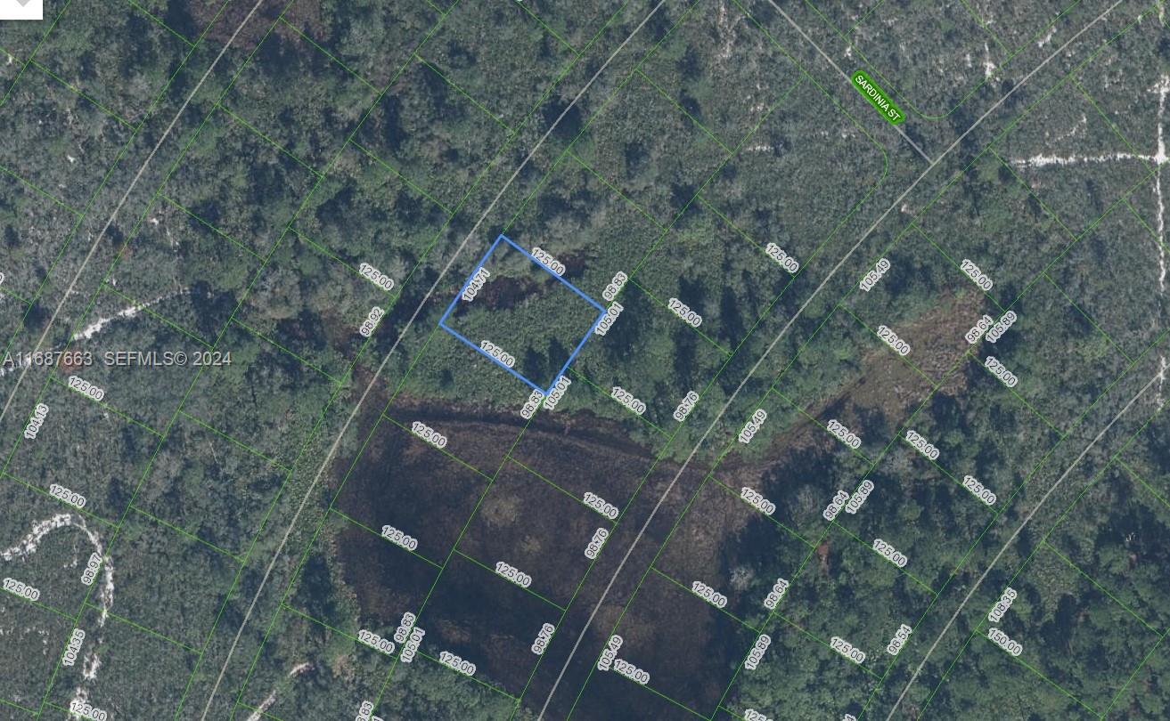 6625 San Benito Drive, Sebring, FL 33872, Sebring