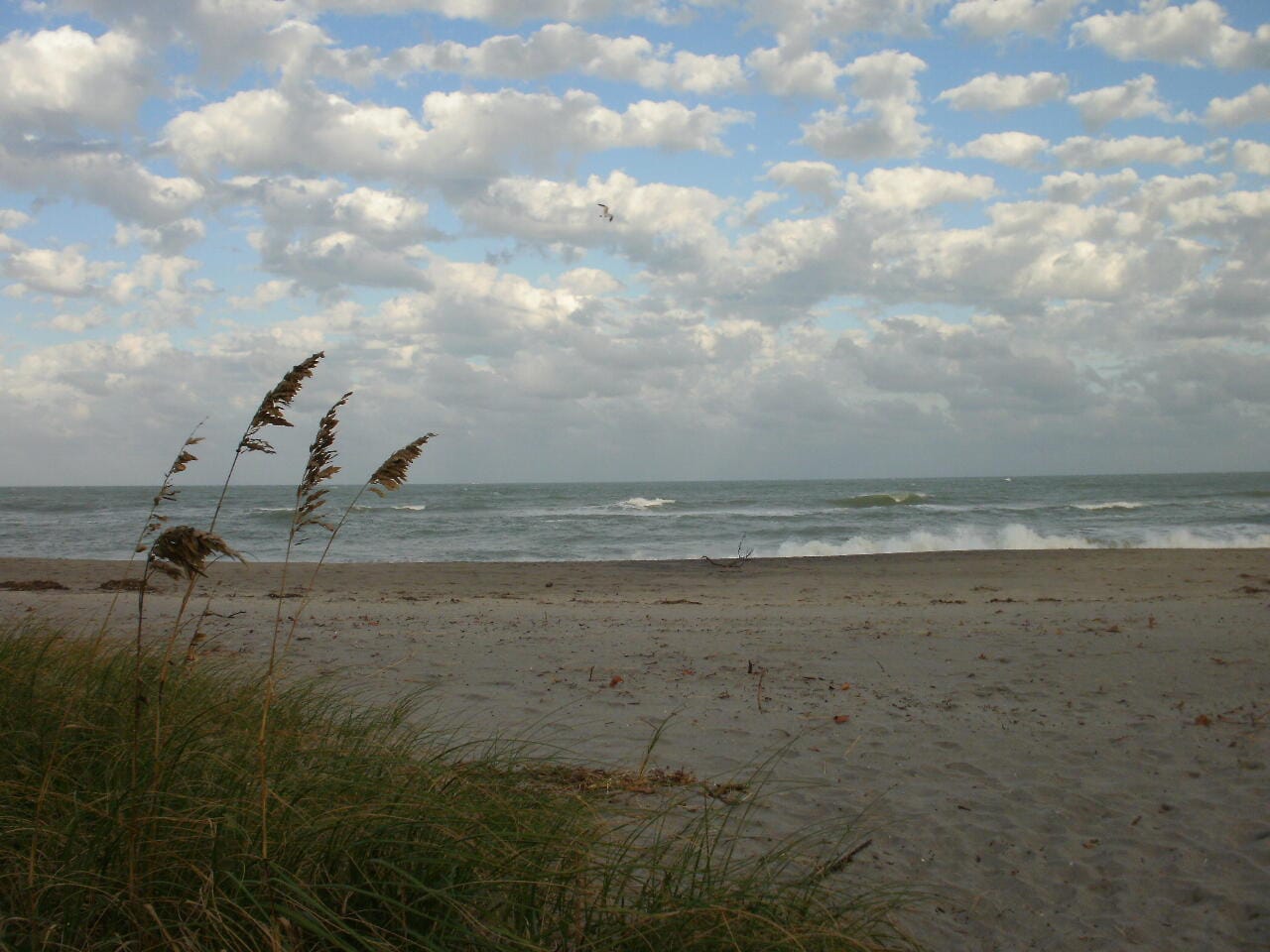 601 SEAFARER Circle 101, Jupiter, FL 33477 photo 29