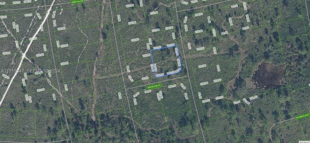 4703 San Pedro Drive, Sebring, FL 33872