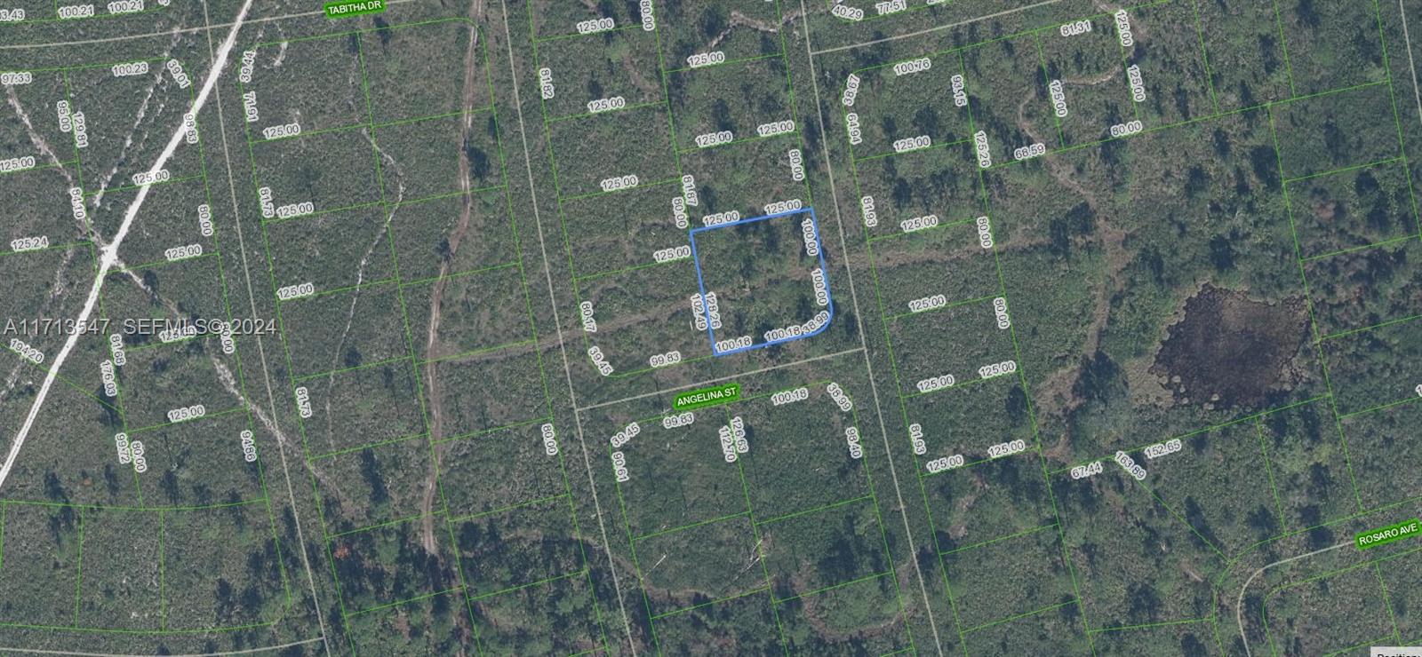4703 San Pedro Drive, Sebring, FL 33872, Sebring