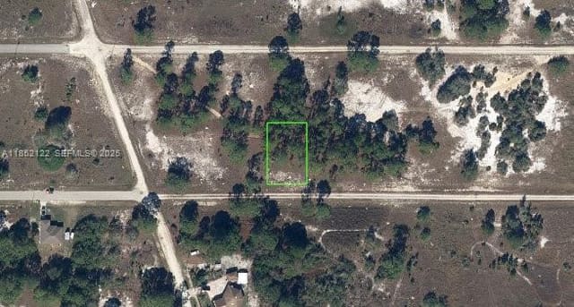 312 Sunflower Avenue, Lake Placid, FL 33852