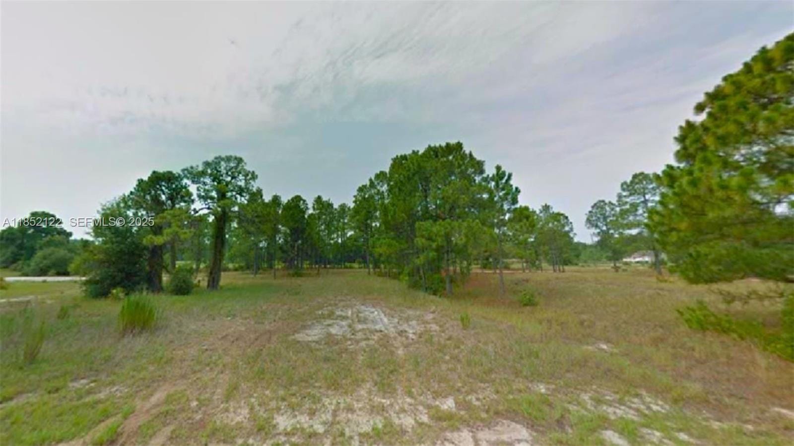 312 Sunflower Avenue, Lake Placid, FL 33852 photo 2