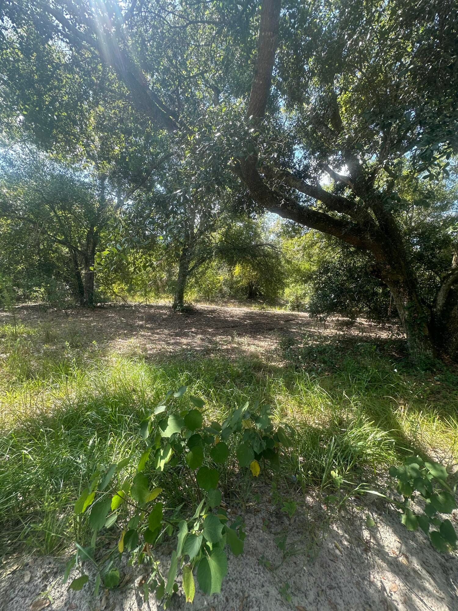 22128 NW 258th Street — photo 4