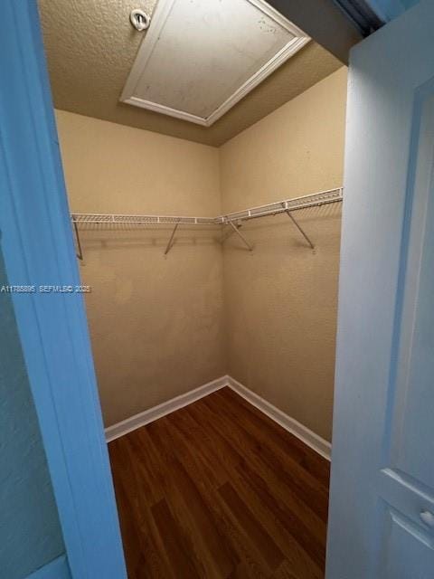 1017 Shoma Drive 462, Royal Palm Beach, FL 33414 photo 15