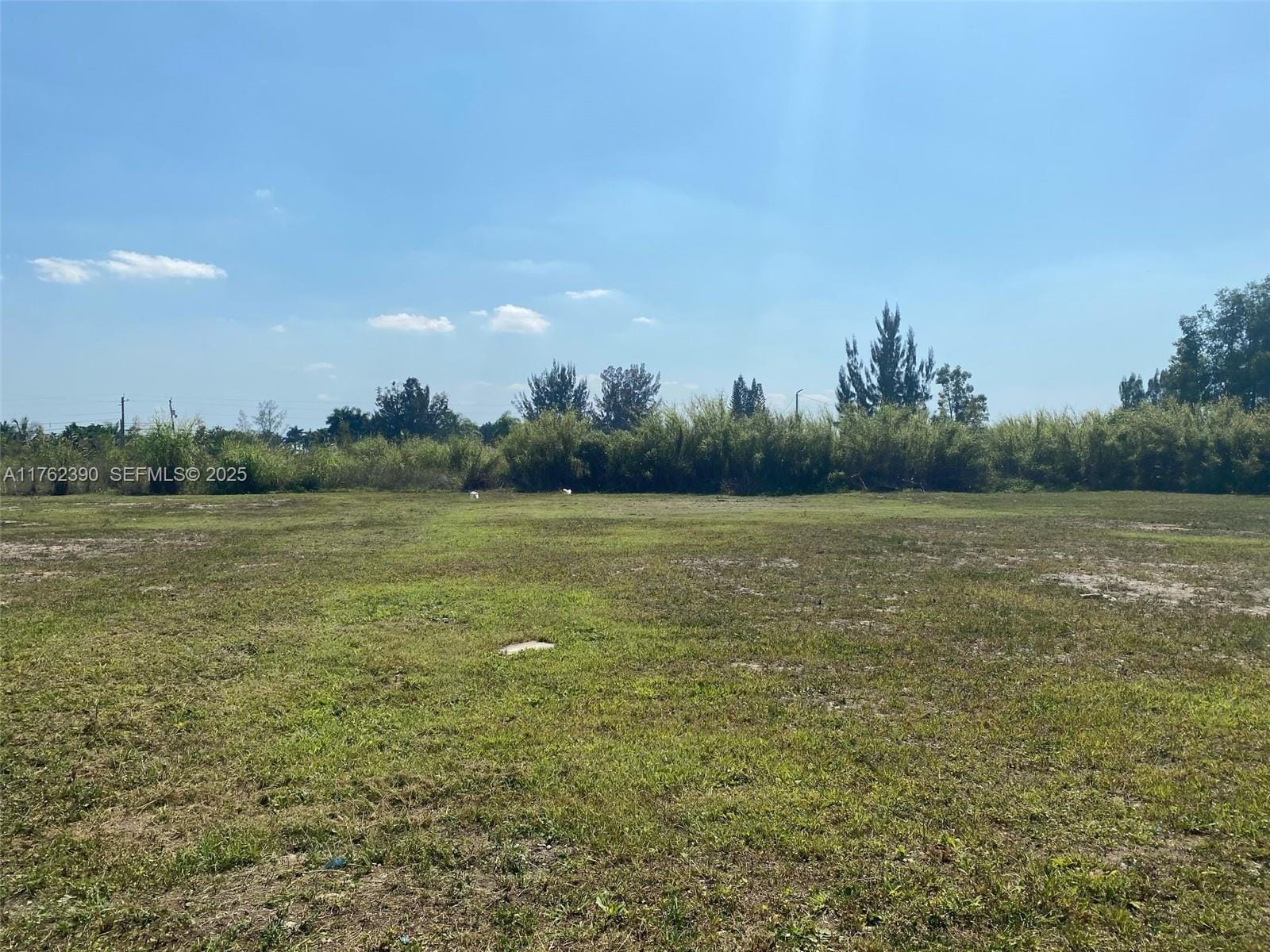 20701 SW 136th Street, Miami, FL 33196 photo 15