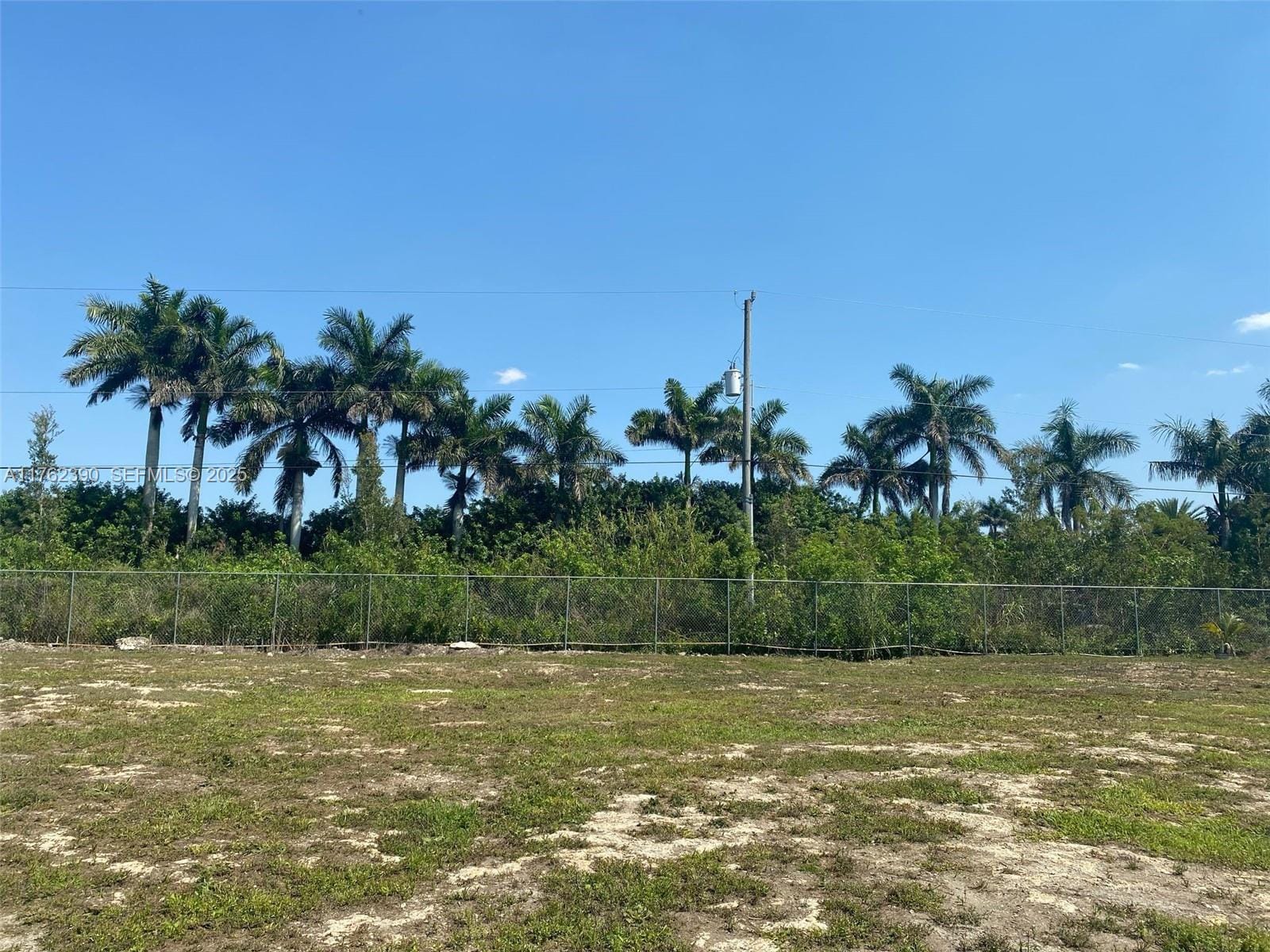 20701 SW 136th Street, Miami, FL 33196 photo 24