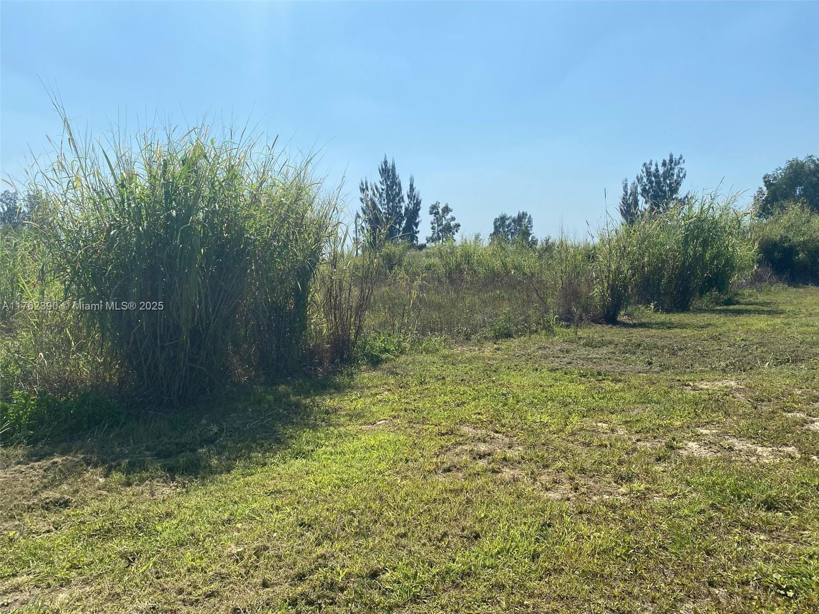 20701 SW 136th Street, Miami, FL 33196 photo 26