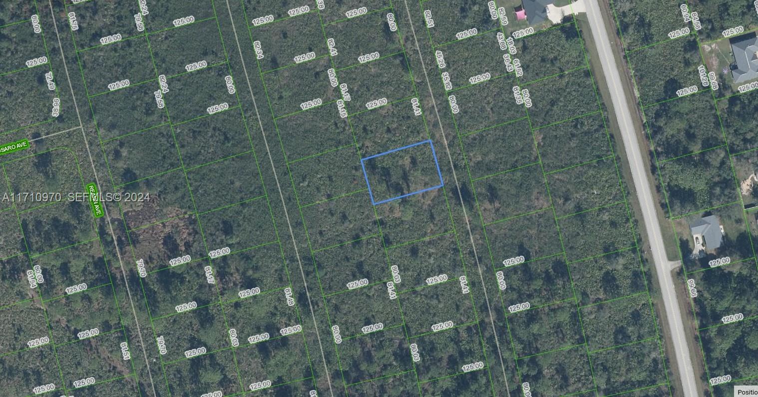 4601 Majorca Drive, Sebring, FL 33872, Sebring