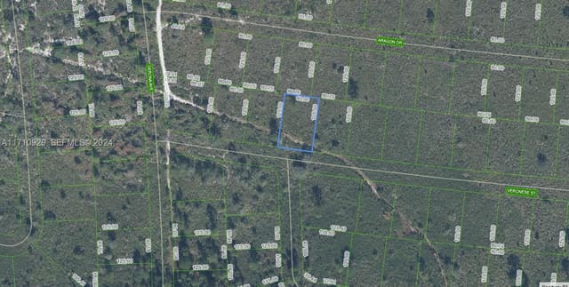 8136 Veronese Street, Sebring, FL 33872
