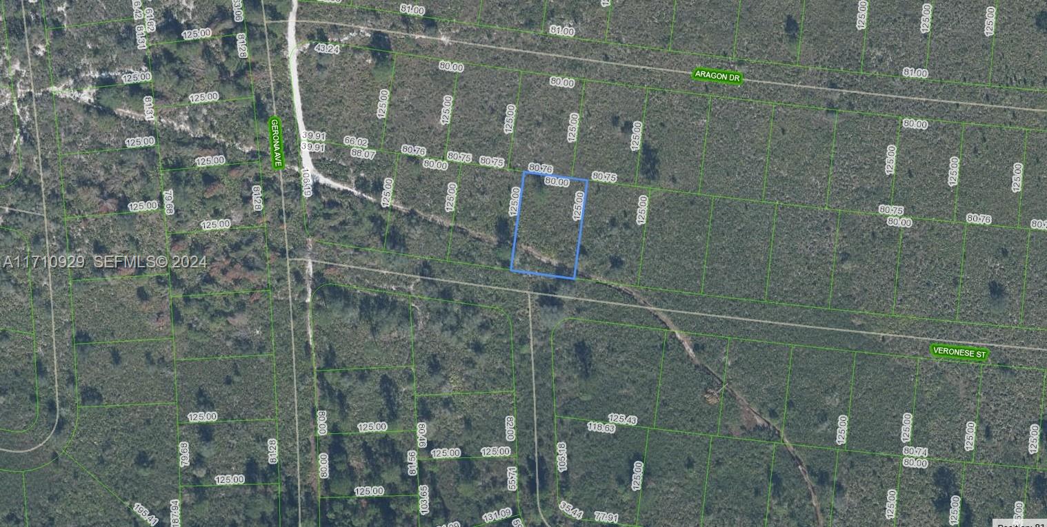 8136 Veronese Street, Sebring, FL 33872, Sebring