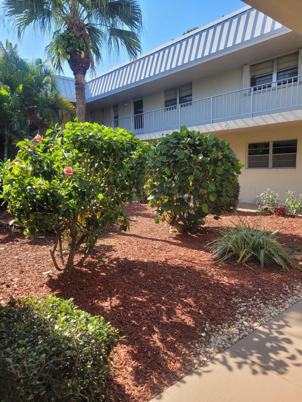 2302 Sunrise Boulevard 201 — photo 5