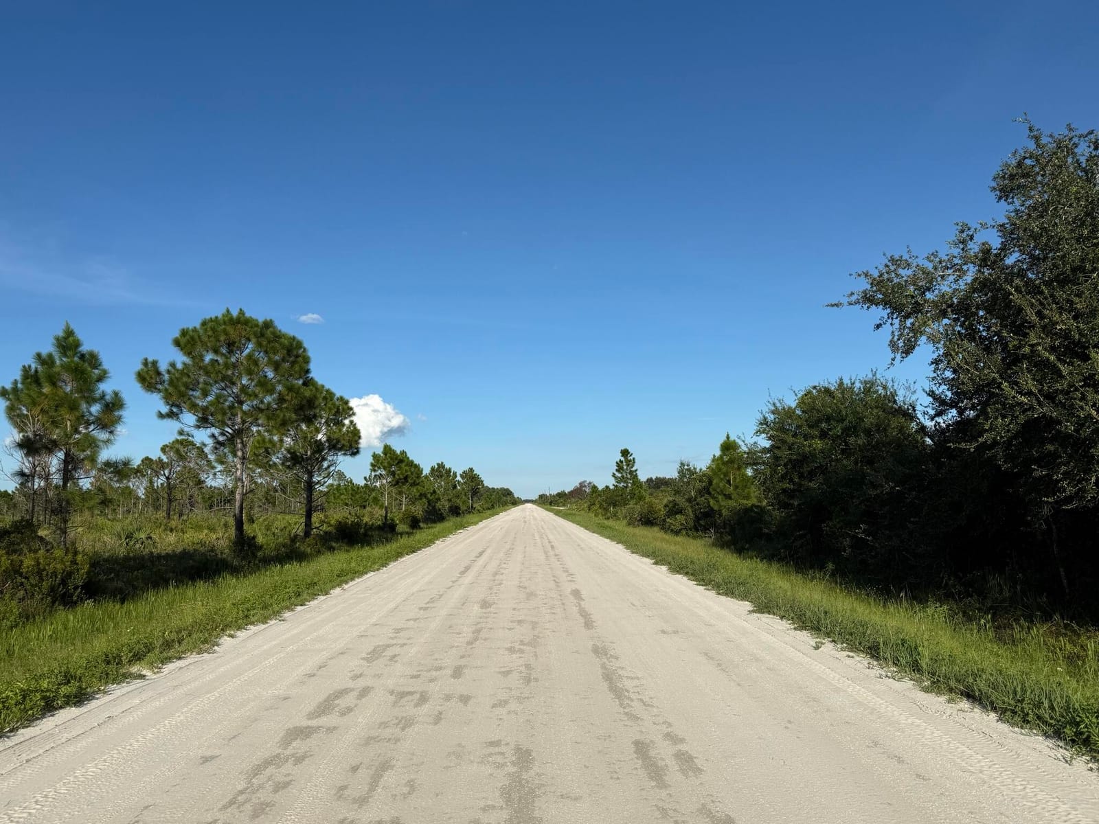 113 Liberty Terrace, LaBelle, FL 33935 photo 2