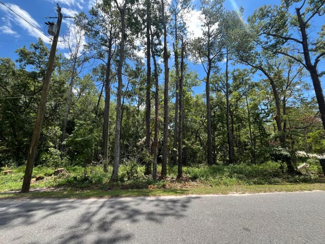 Tbd Franklin Drive, Crawfordville, FL 32327