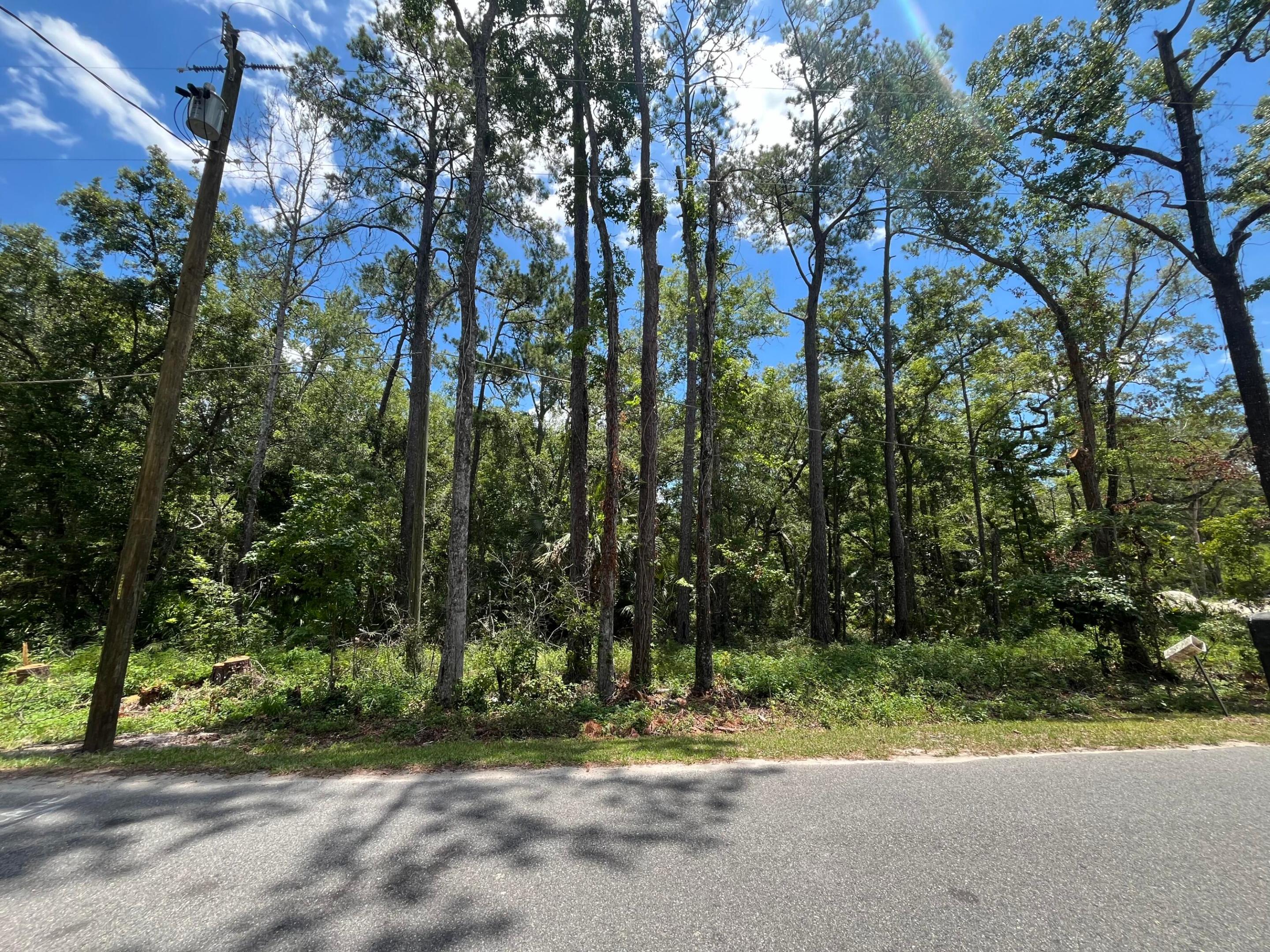 Tbd Franklin Drive, Crawfordville, FL 32327, Crawfordville