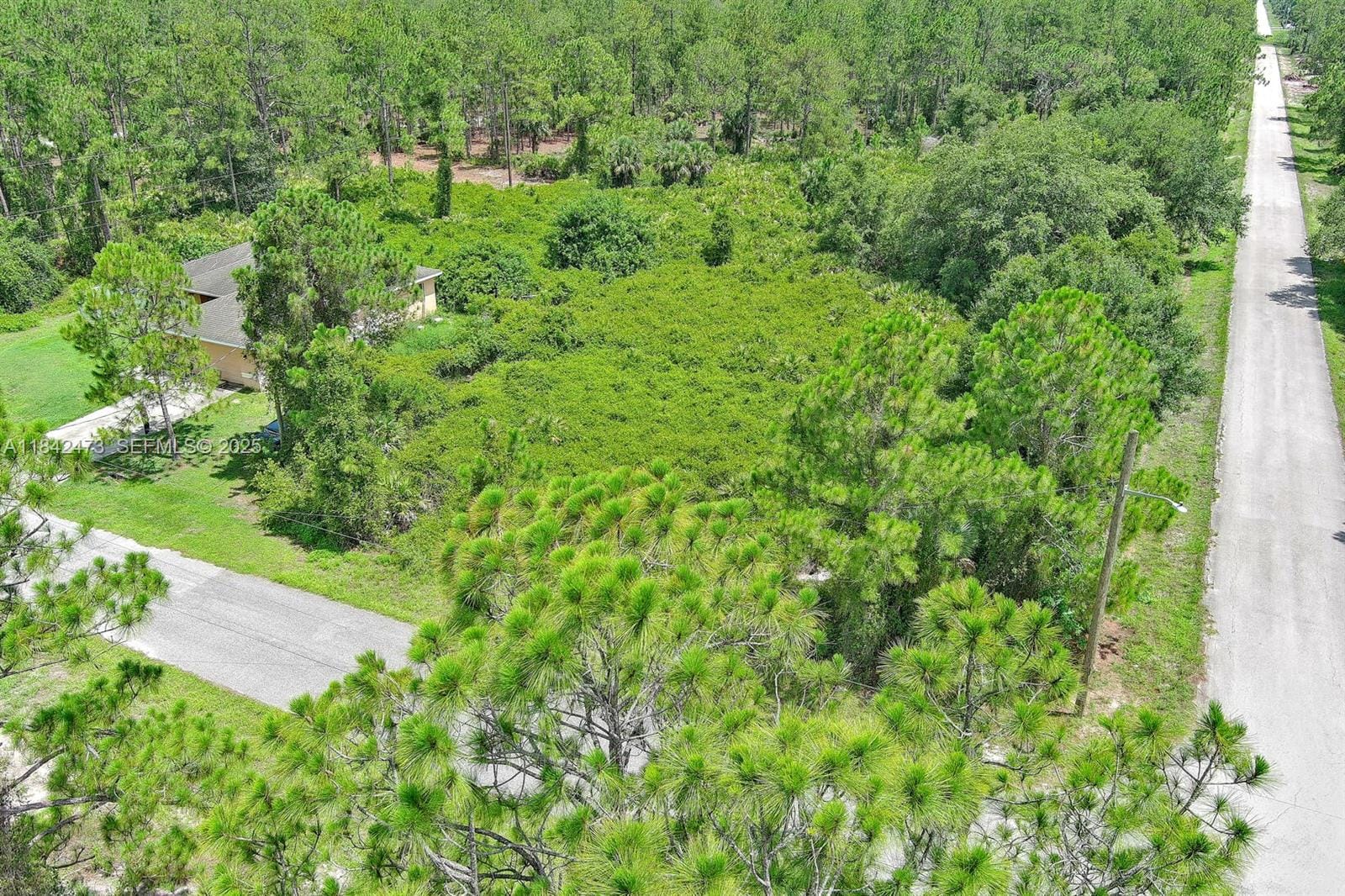 3100 E 13th Street, Lehigh Acres, FL 33972 photo 5