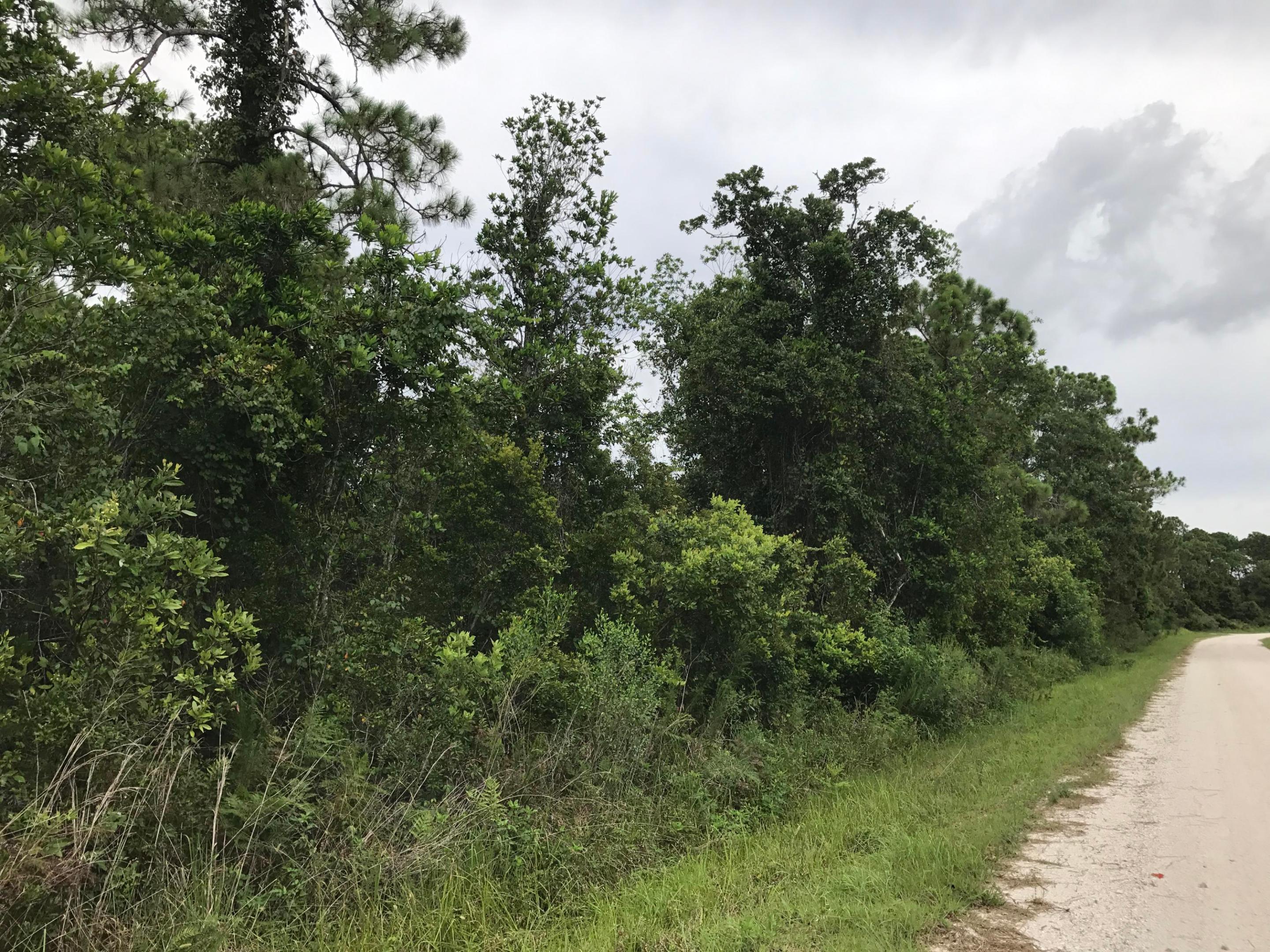 1126 Greenfield Street, Lake Placid, FL 33852, Lake Placid