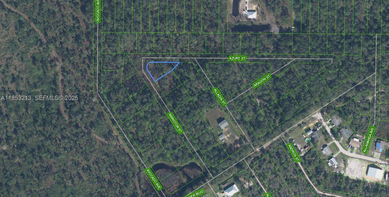 2124 Abington, Sebring, FL 33875, Sebring