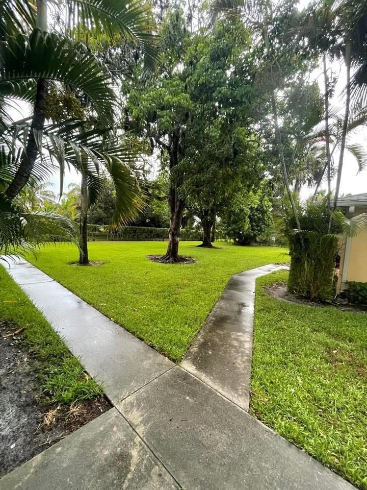 4704 Cherry Road 4704 — photo 9