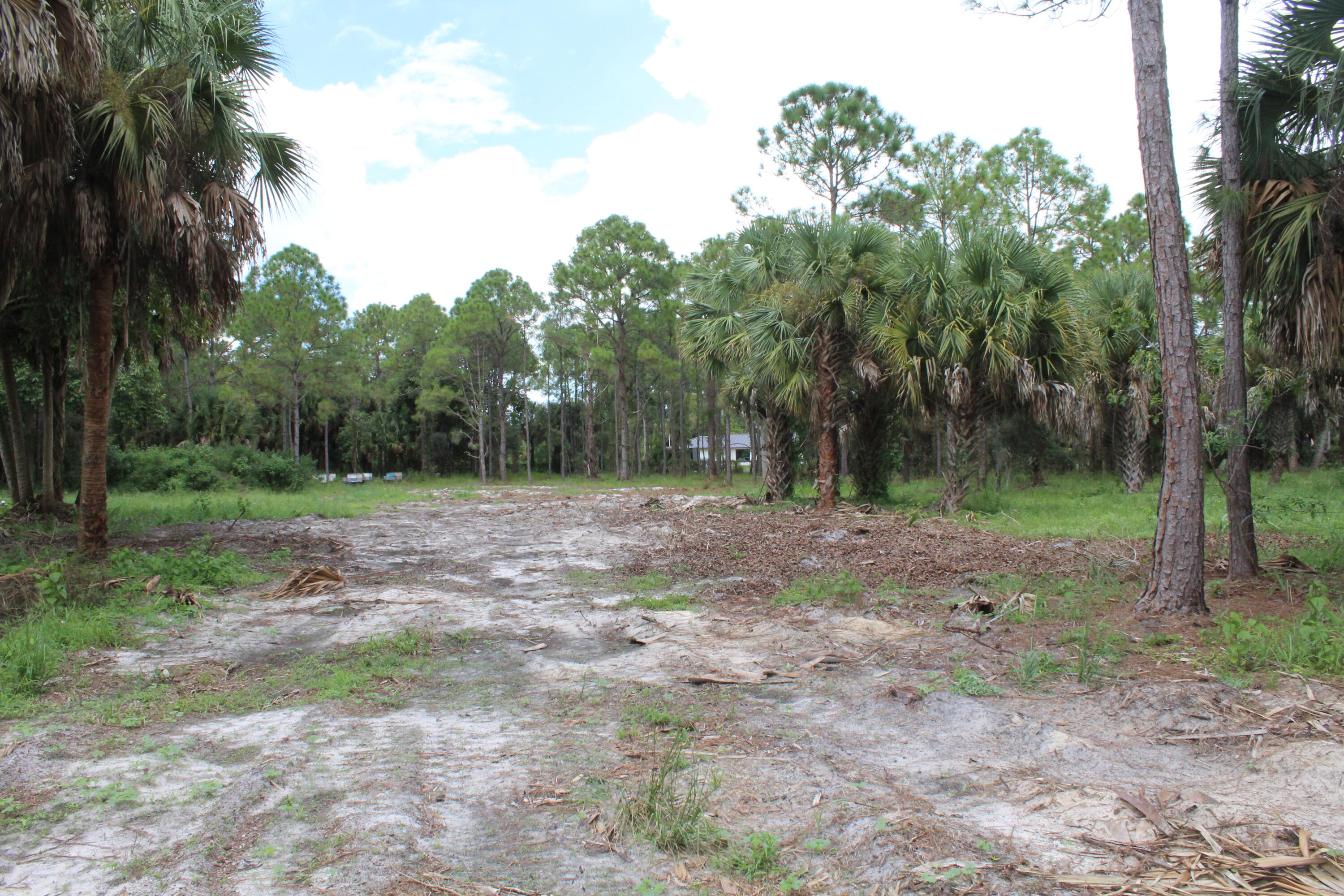 1275 Arabian Drive, Loxahatchee, FL 33470, Loxahatchee