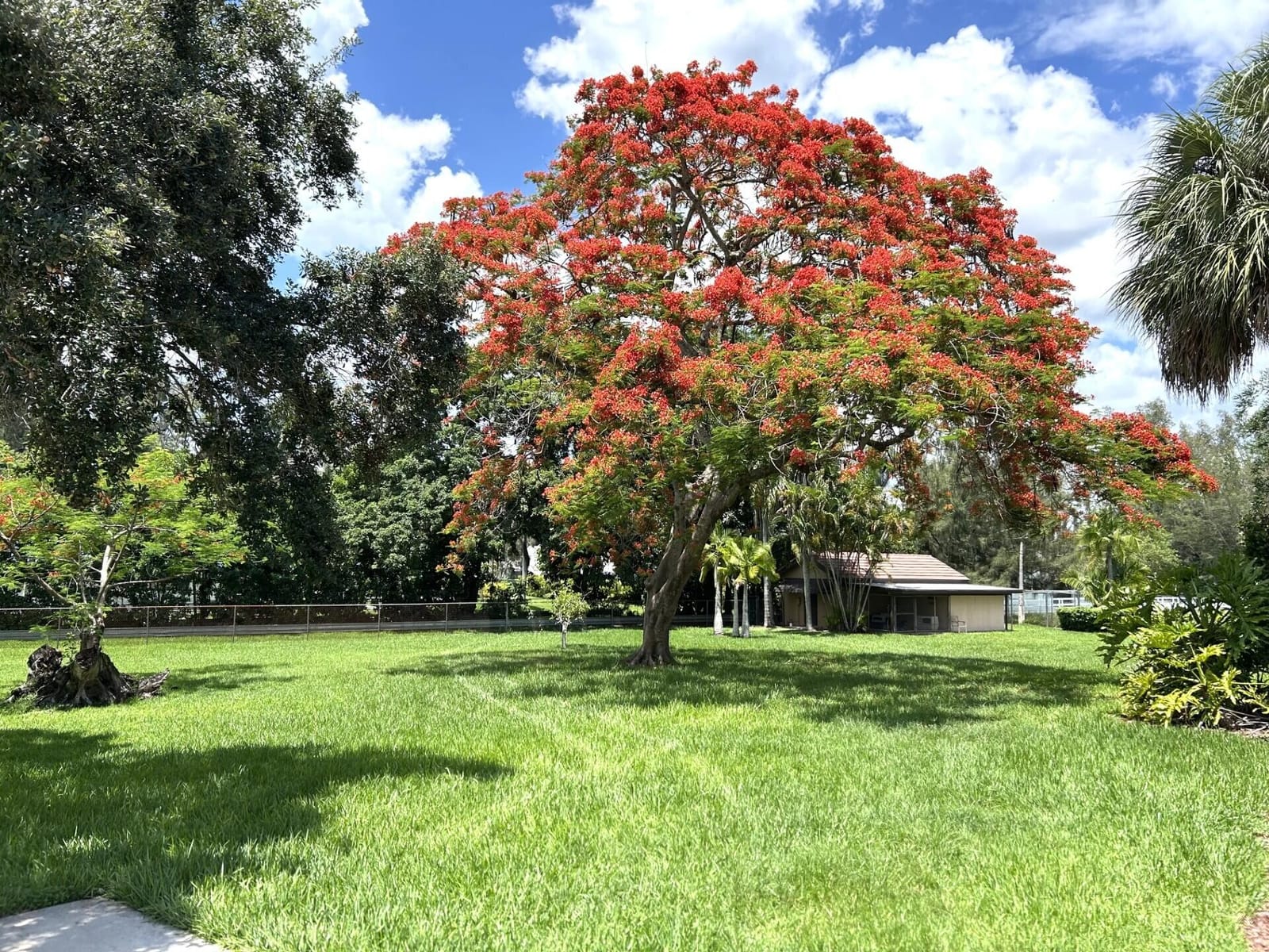 6200 SW 183rd Way, Southwest Ranches, FL 33331 photo 30