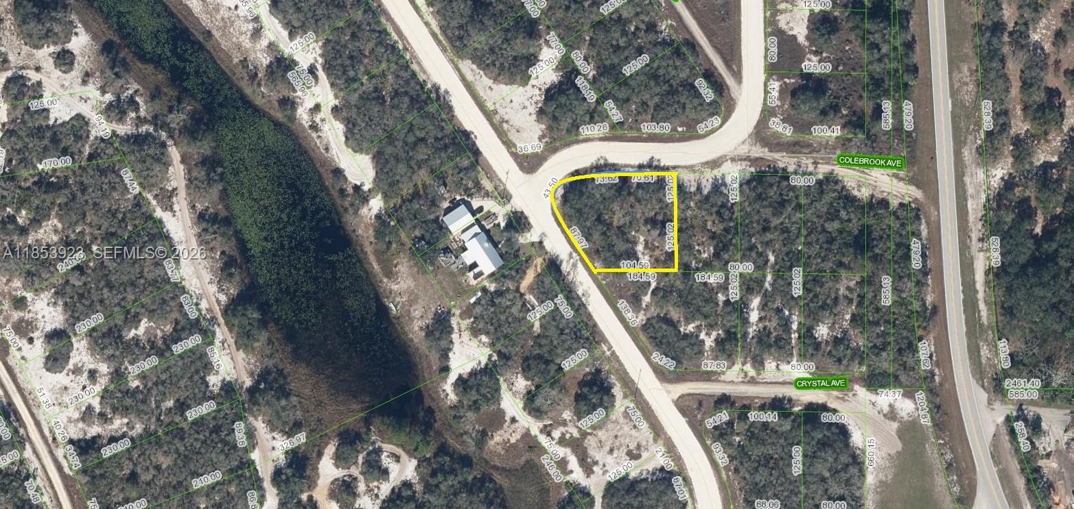 231 Lakeland Drive, Lake Placid, FL 33852, Lake Placid