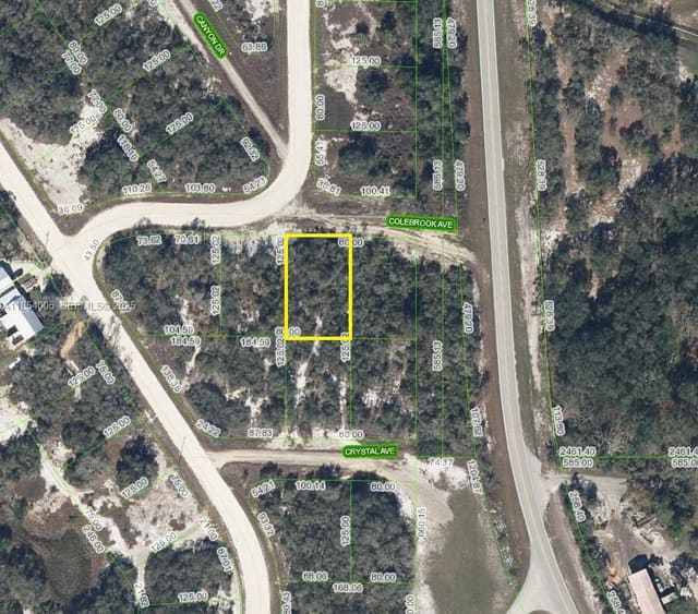 105 Colebrook Avenue, Lake Placid, FL 33852