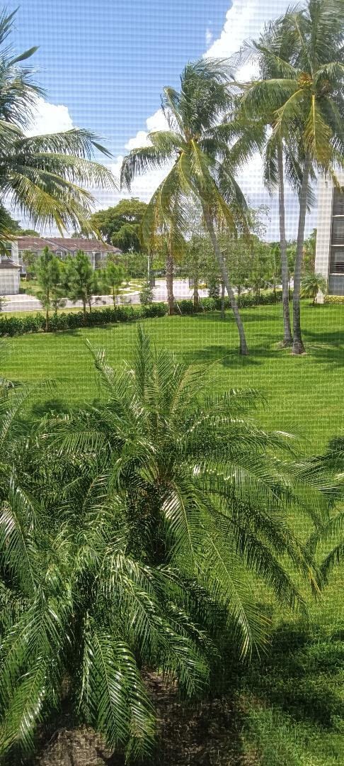 5851 Camino Del Sol 204, Boca Raton, FL 33433 photo 12