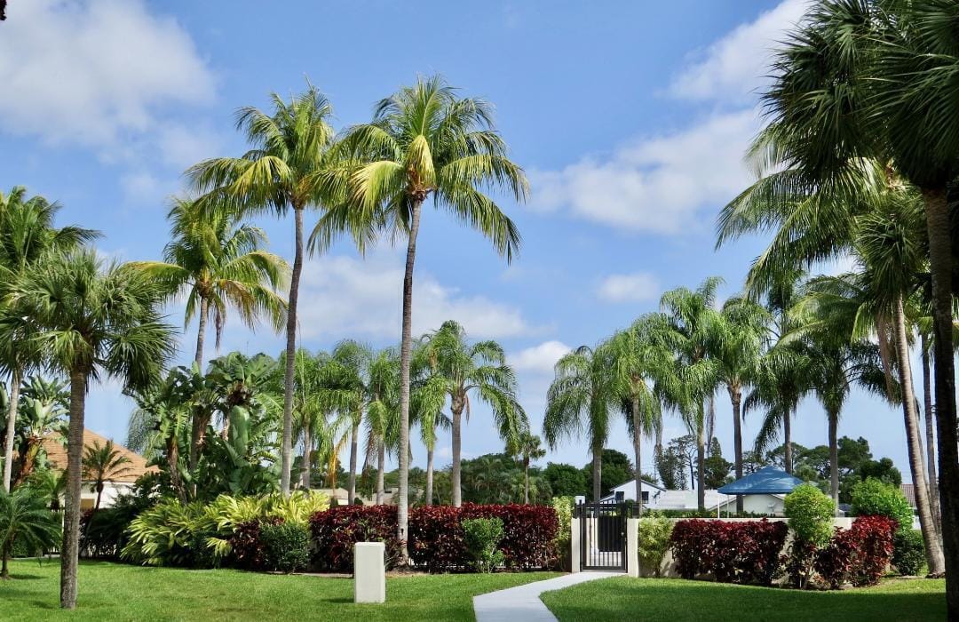 5851 Camino Del Sol 204, Boca Raton, FL 33433 photo 15