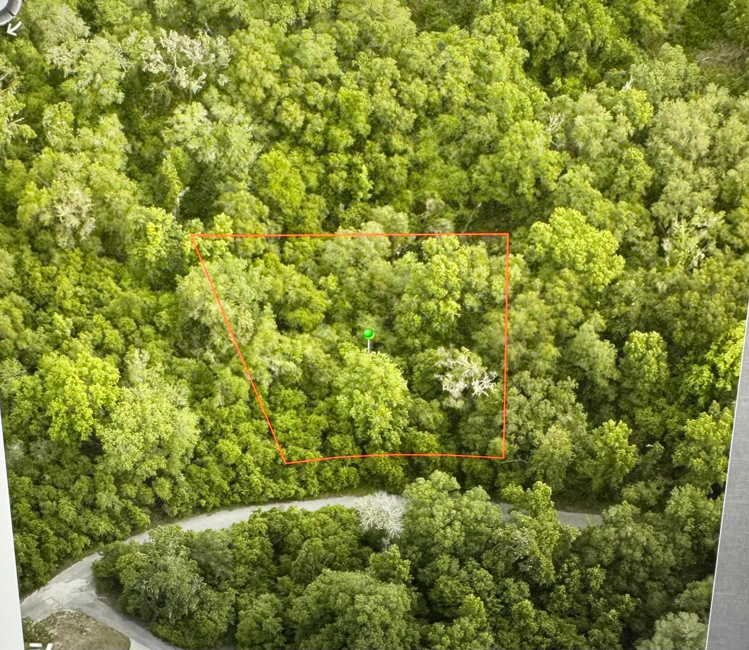 6761 E Dogwood Hammock Drive, Inverness, FL 34453, Inverness