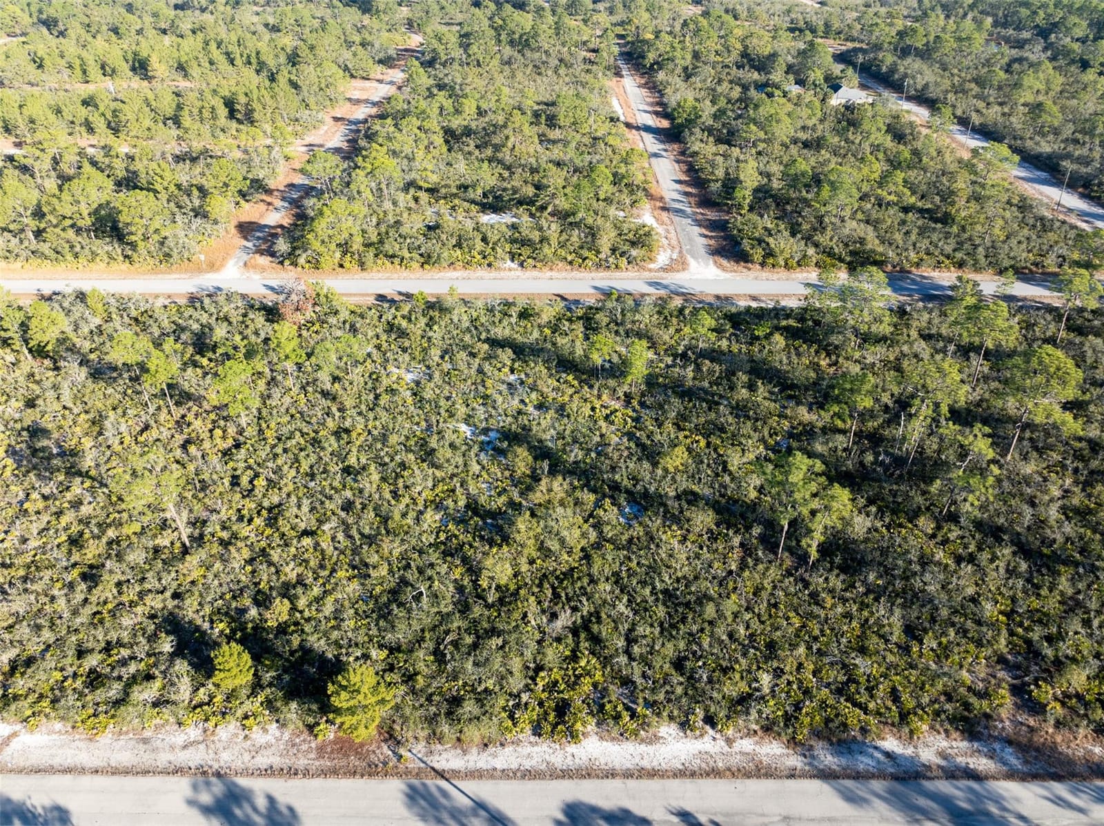 3341 Plover Avenue, Lake Placid, FL 33852 photo 2