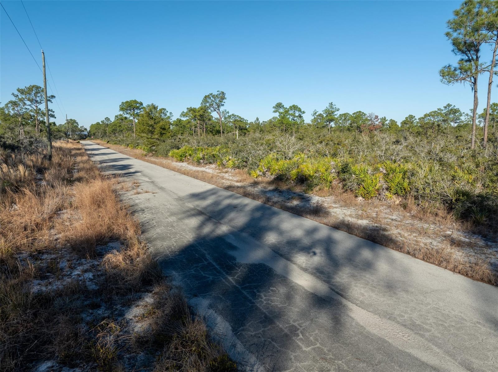 3341 Plover Avenue, Lake Placid, FL 33852 photo 7