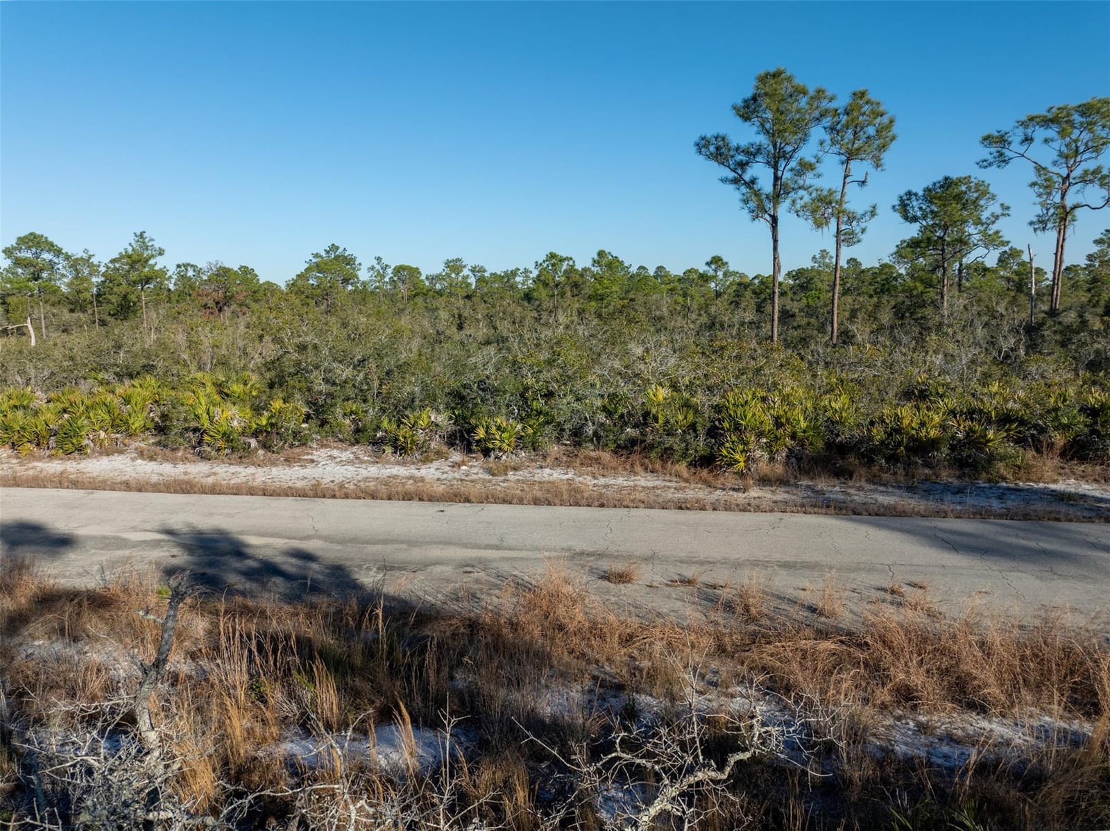 3341 Plover Avenue, Lake Placid, FL 33852 photo 8